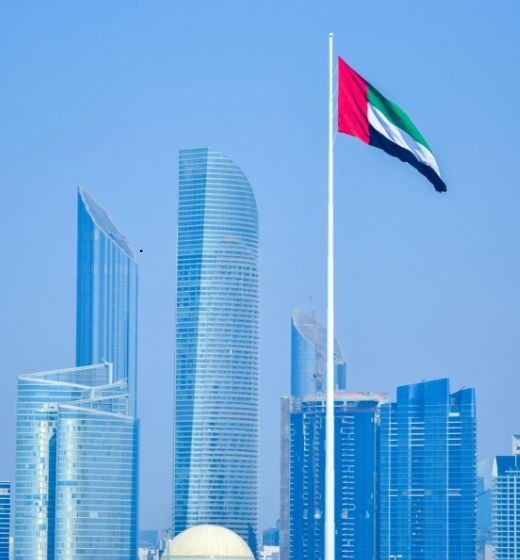 Danburite - Services - Compamy Formation - Help