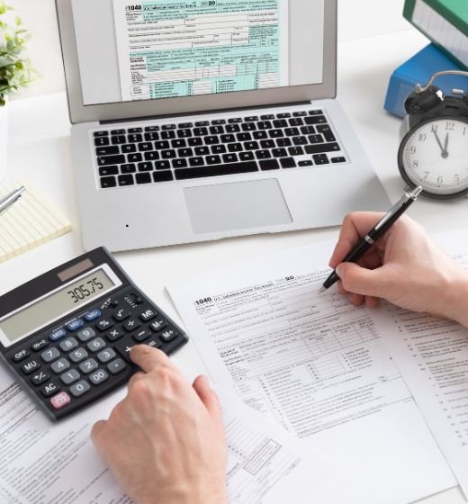 Danburite - Services - Bookkeeping - Choose Service