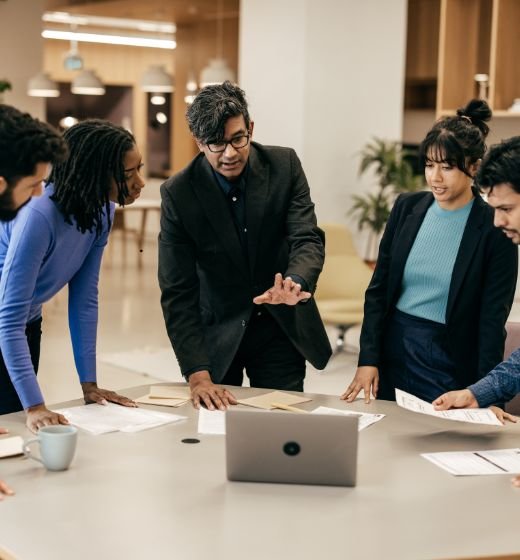 Danburite - Services - IPR Advisory - Help