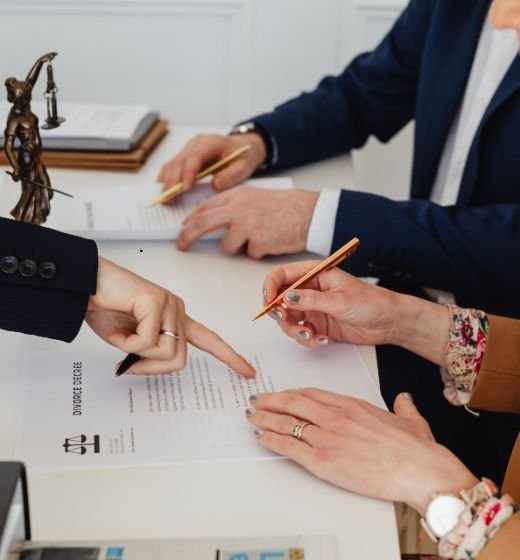 Danburite - Services - Legal Advisory - Choose Service